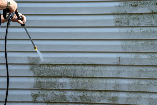 Property Management Cleanouts in Albion, MI